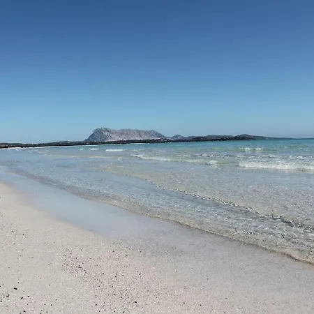 Сasa de vacaciones Con Piscina Privata By Budoniaffitti *